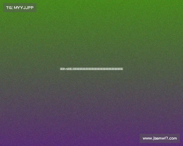 维迪斯vs兹沃勒,关注维迪斯足球俱乐部赛事亮点主场激战赛季回顾关键球员表现与未来展望